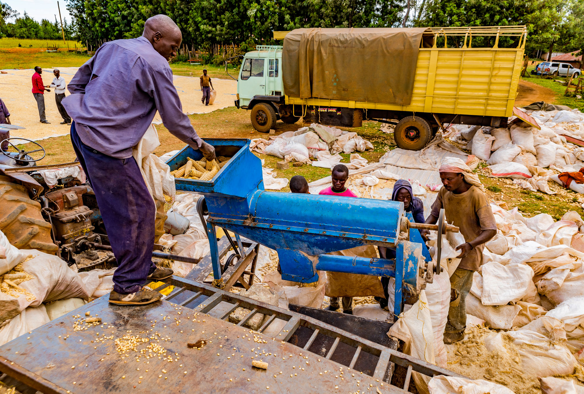 Rates Of Return To Fertilizer Evidence From Field Experiments In Kenya The Abdul Latif Jameel