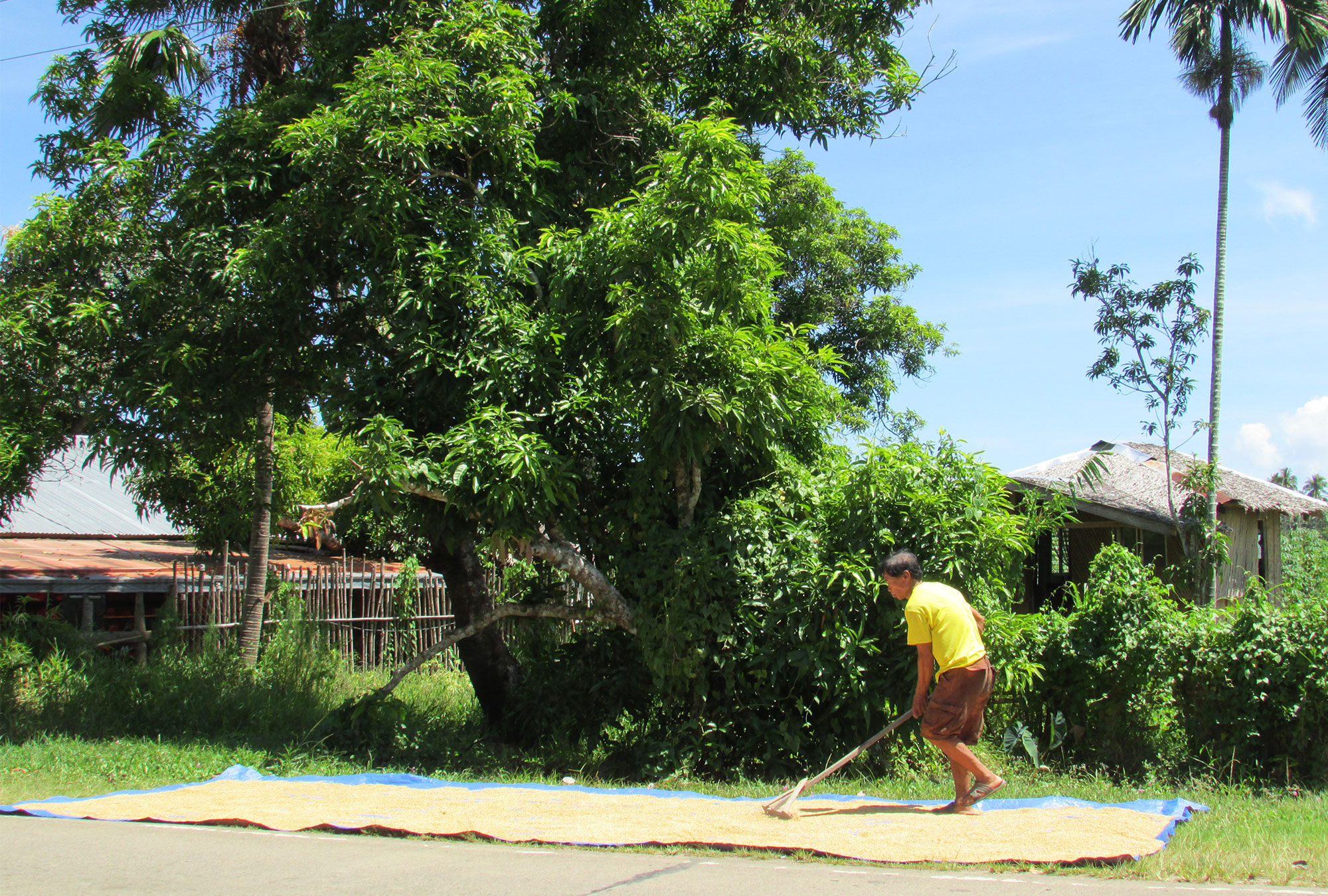 Role Of Social Groups In Agricultural Extension