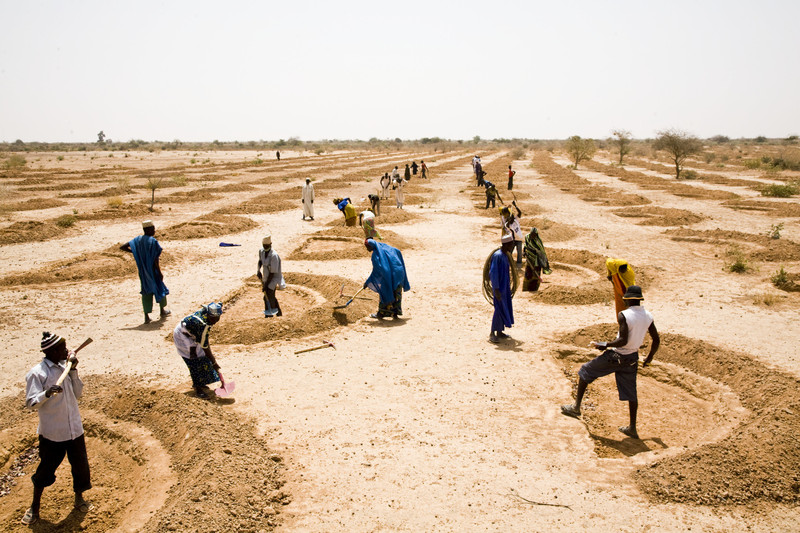 Scaling Up The Impact Of Rainwater Harvesting Techniques On Small Scale Farming In Niger The