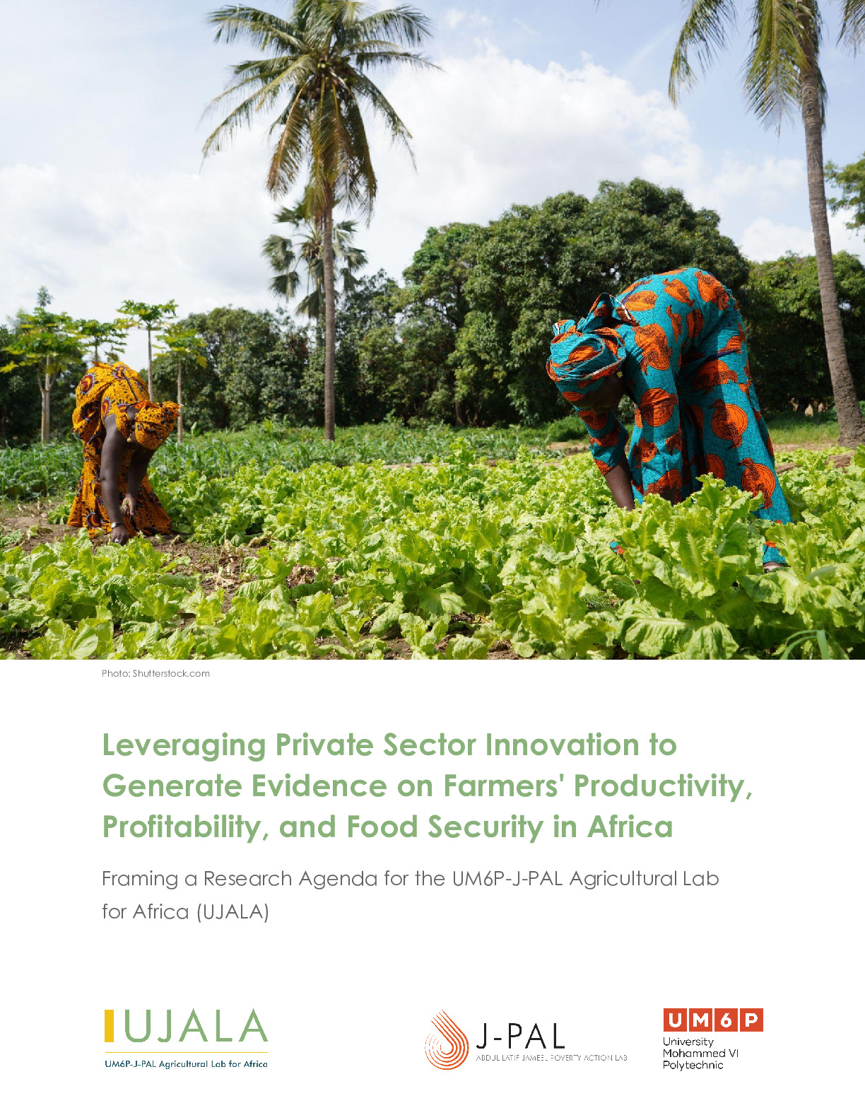 Leveraging Private Sector Innovation to Generate Evidence on Farmers' Productivity, Profitability, and Food Security in Africa: Framing a Research Agenda for the UM6P-J-PAL Agricultural Lab for Africa (UJALA)