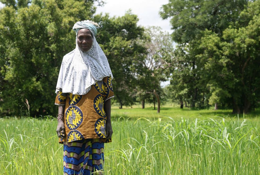 A farmer in Mali