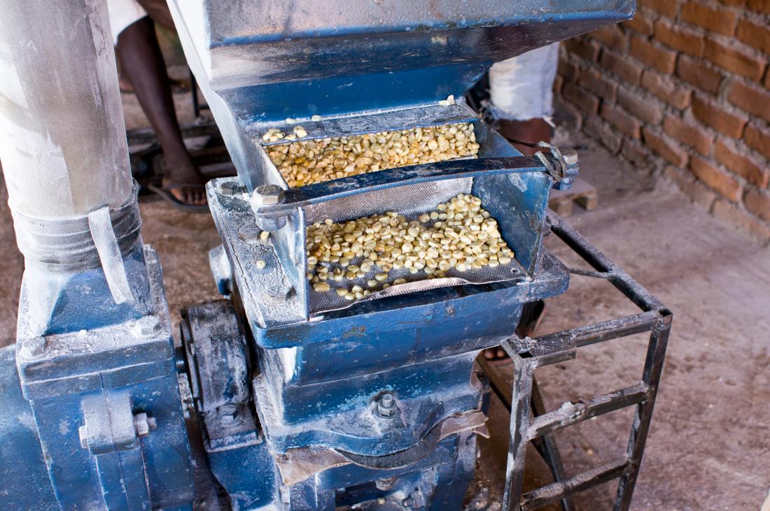 maize being run through a mill