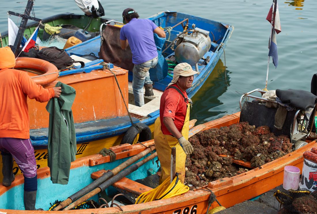 Fishermen in boats.