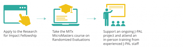 How the research for impact fellowship works diagram