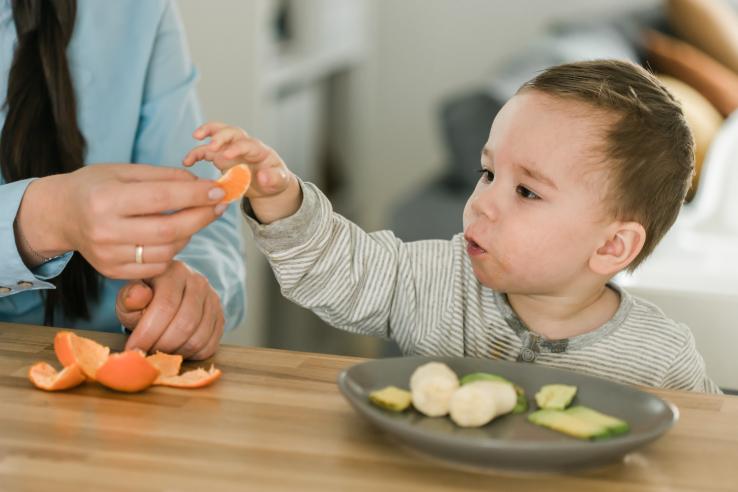 Young child is eating fruits and vegetables. He is reaching for a clementine from an adult.