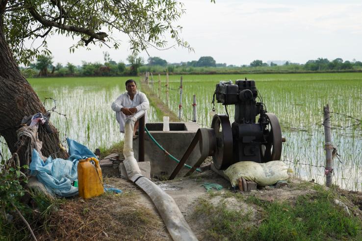 Farmer uses agricultural electricity to draw groundwater to irrigate paddy fields in India