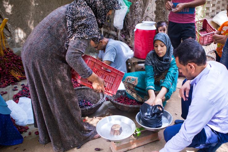 A woman sorts red dates and weighs them on a scale, a younger girl and a man are helping her while seated.