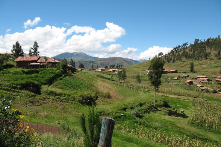 Image of pastoral landscape