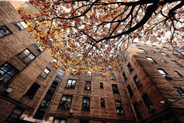 Brick buildings