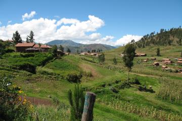 Natural green landscape