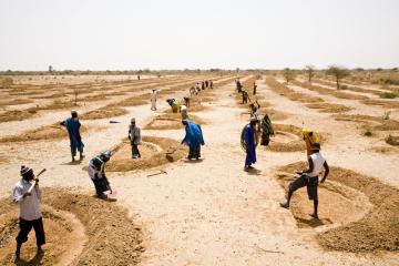 Demi lunes in Niger